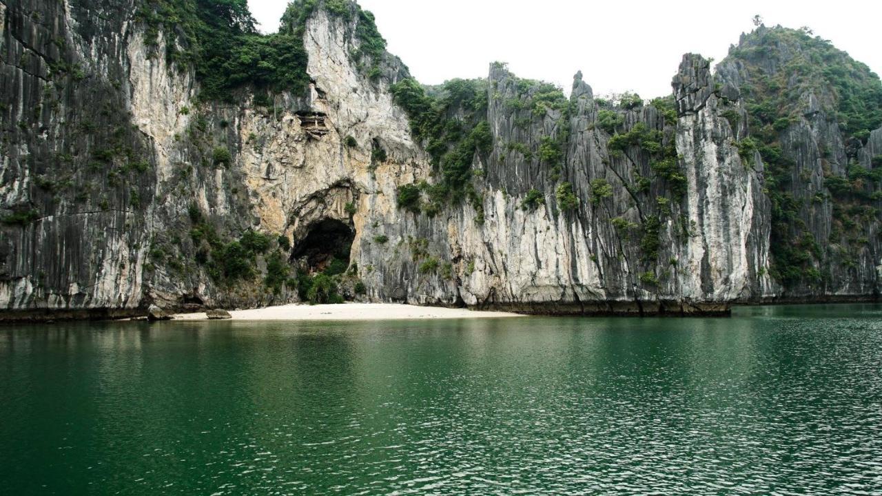 Cat Ba Green Bamboo Forest Dong Khe Sau Luaran gambar